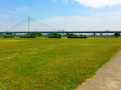 淀川河川公園